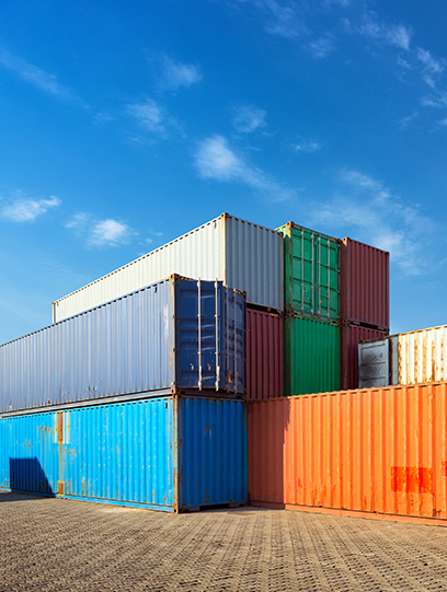 Domestic Transportation & Warehousing